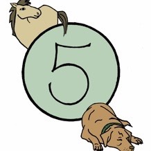 Warrenton Animal Clinic